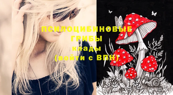 прущая мука Гатчина