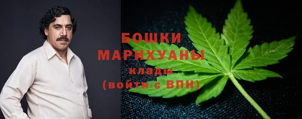 прущая мука Гатчина