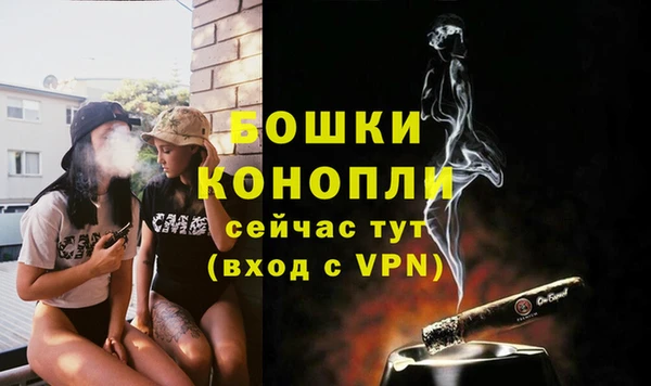 прущая мука Гатчина