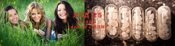 прущая мука Гатчина